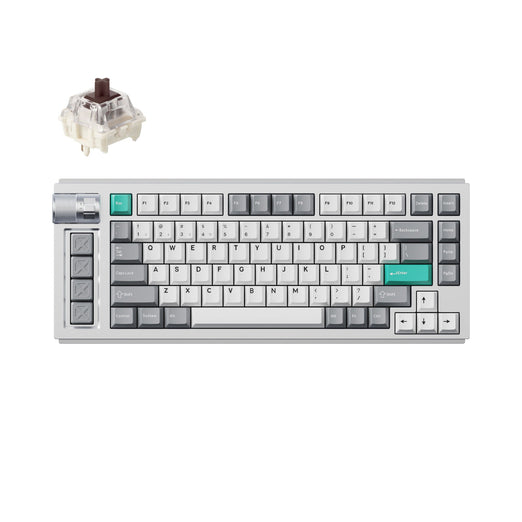 Lemokey L1 QMK VIA Wireless Custom Gaming Keyboard 75% Layout Aluminum Space Silver Fully Assembled for Windows Mac Linux Gateron Jupiter Brown